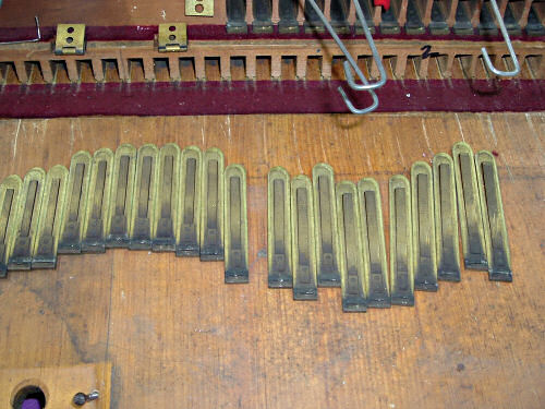 Various Sizes of Reeds Various Sizes of Reeds
